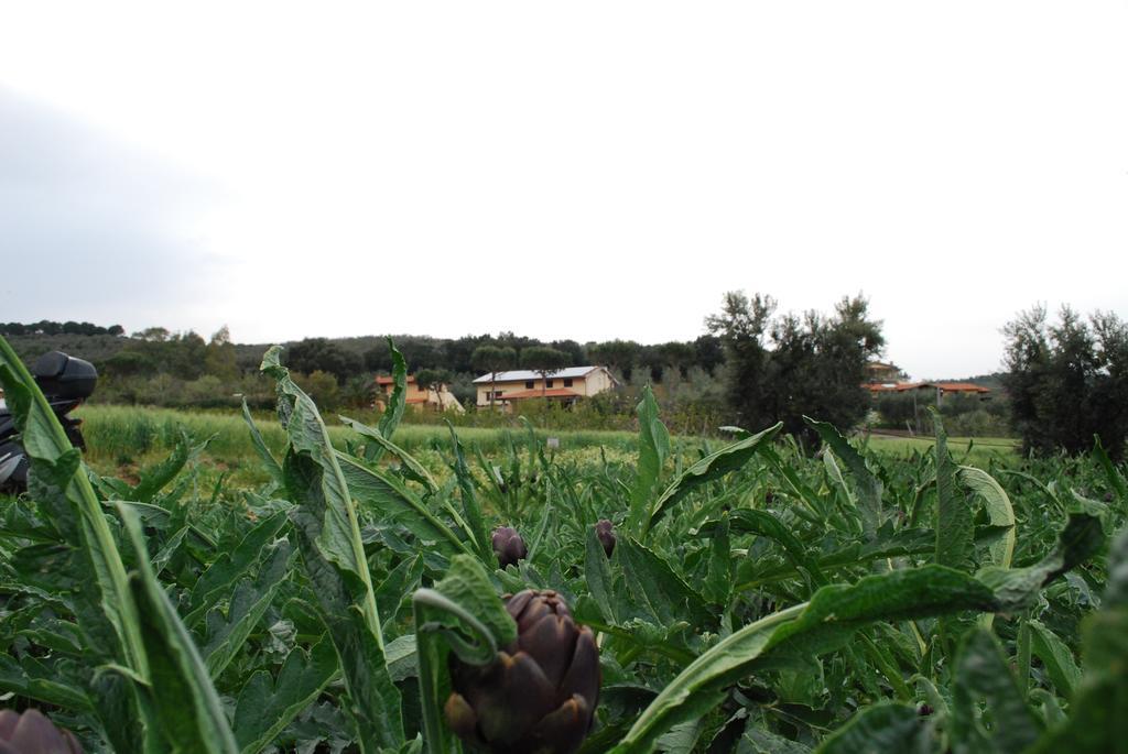 קסטליונה דלה פסקאיה Agriturismo Val Di Nappo מראה חיצוני תמונה