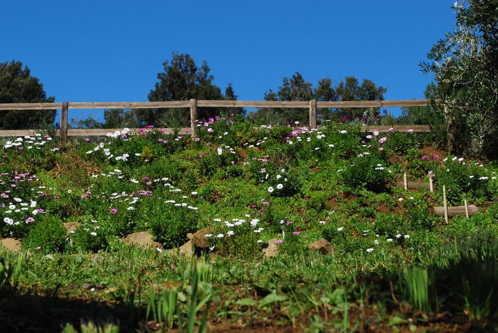 קסטליונה דלה פסקאיה Agriturismo Val Di Nappo מראה חיצוני תמונה