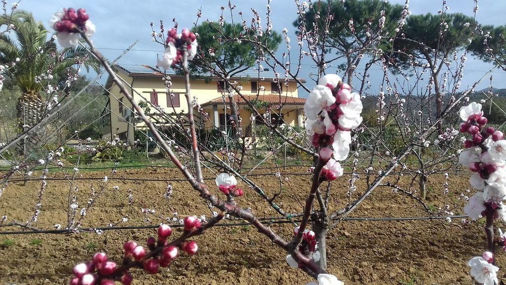 קסטליונה דלה פסקאיה Agriturismo Val Di Nappo מראה חיצוני תמונה